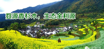 金利源板材/金品質(zhì) 源生態(tài).從源頭精挑細(xì)選，為品質(zhì)保駕護(hù)航——中國板材十大品牌品質(zhì)篇